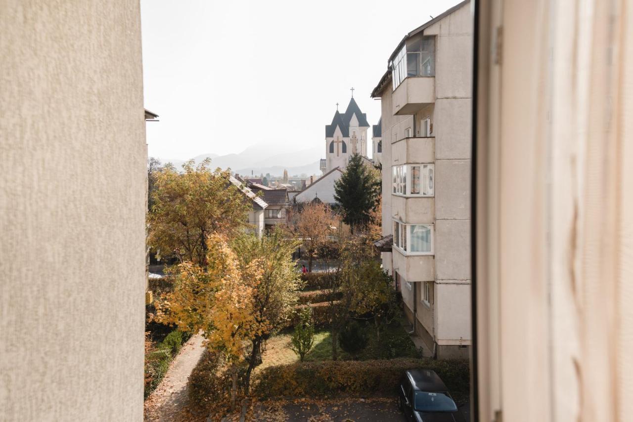 Oltului Apartment 브라쇼브 외부 사진